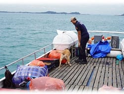 Sinergi Operasi Patroli Laut Pandawa 2022, Bea Cukai Batam Amankan Kapal Bermuatan Barang Ilegal