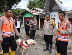 Polda Sumut Turunkan Anjing Pelacak Bantu Pencarian Korban Longsor di Humbahas